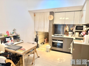 凱和山 1座 - 28NTS – 香港北部都會區