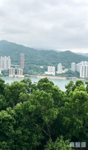 薈藍 - 28NTS – 香港北部都會區