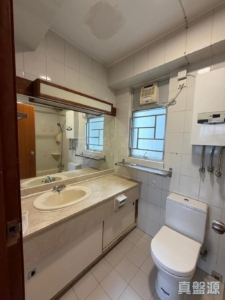 麗城花園 3期 4座 - 28NTS – 香港北部都會區
