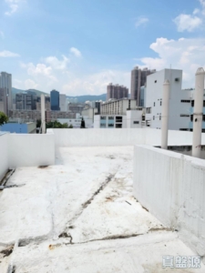 寶成樓 - 28NTS – 香港北部都會區