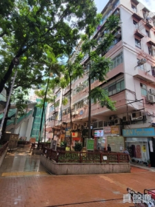 寶成樓 - 28NTS – 香港北部都會區