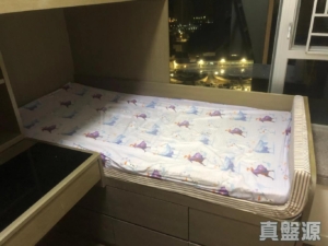 疊茵庭 2座 - 28NTS – 香港北部都會區