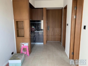 柏巒 2期 柏逸 1座 - 28NTS – 香港北部都會區