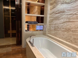 柏巒 1期 - 28NTS – 香港北部都會區