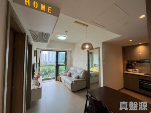 WETLAND SEASONS BAY 3期 6B座 - 28NTS – 香港北部都會區