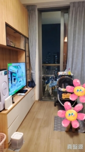 朗天峰 2座 - 28NTS – 香港北部都會區