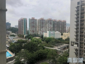 倚嶺南庭 - 28NTS – 香港北部都會區