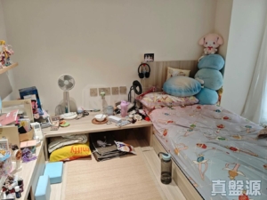金碧花園 2座 - 28NTS – 香港北部都會區