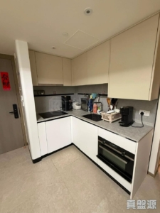NOVO LAND 1B期 Bergen 3座 - 28NTS – 香港北部都會區