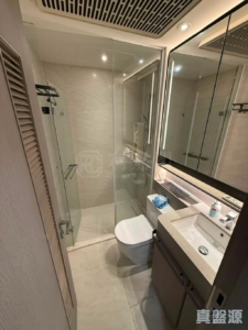 NOVO LAND 1B期 Bergen 3座 - 28NTS – 香港北部都會區