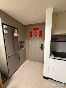 NOVO LAND 1B期 Bergen 3座 - 28NTS – 香港北部都會區