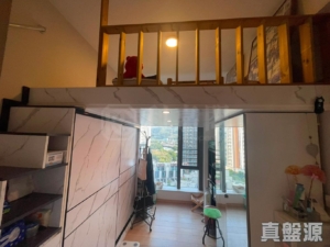 山水盈 3座 - 28NTS – 香港北部都會區