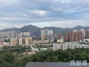 御半山 1期 1B座 - 28NTS – 香港北部都會區