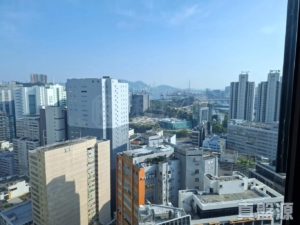 爵悅庭 南爵軒 (A2) - 28NTS – 香港北部都會區