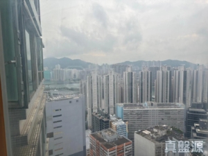 樂悠居 - 28NTS – 香港北部都會區