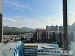 好順利大廈 1座 - 28NTS – 香港北部都會區