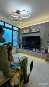 卓爾居 2期 5座 - 28NTS – 香港北部都會區