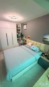 卓爾居 2期 5座 - 28NTS – 香港北部都會區
