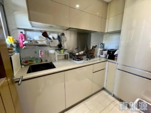 1791560679db06e56a-dcae-4069-a40f-07326290aea1.jpeg 尚悅 8座 - 28NTS – 香港北部都會區