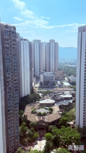 天祐苑 祐寧閣 (B座) - 28NTS – 香港北部都會區