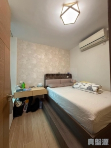 愉景新城 3期 10座 - 28NTS – 香港北部都會區