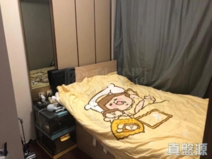 緹岸 1期 2A座 - 28NTS – 香港北部都會區