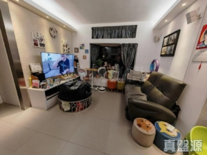 朗景臺 1座 - 28NTS – 香港北部都會區