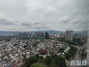 朗景臺 1座 - 28NTS – 香港北部都會區