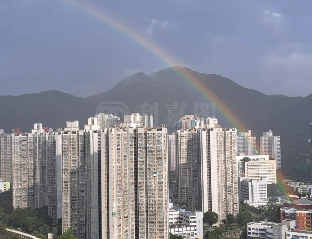 澤豐花園 澤國樓 (1座) - 28NTS – 香港北部都會區