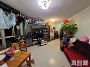 澤豐花園 澤國樓 (1座) - 28NTS – 香港北部都會區