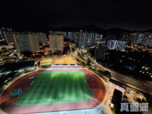 澤豐花園 澤國樓 (1座) - 28NTS – 香港北部都會區