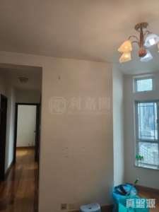 愉景新城 3期 9座 - 28NTS – 香港北部都會區