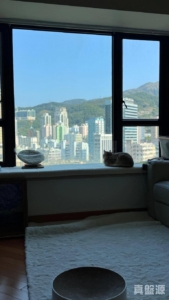 爵悅庭 南爵軒 (A2) - 28NTS – 香港北部都會區