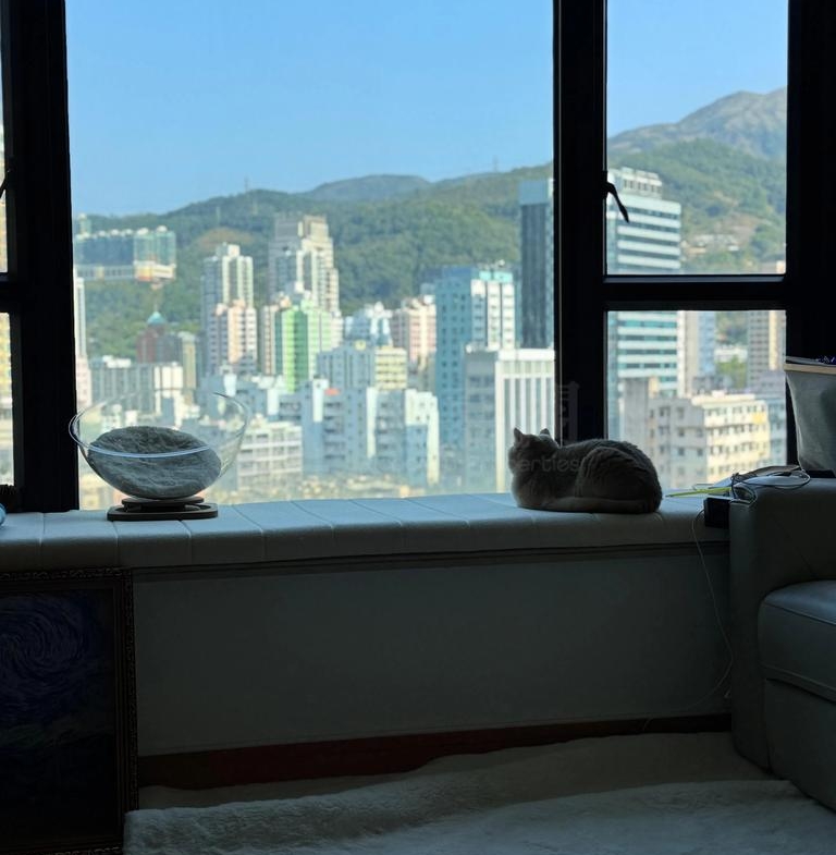 爵悅庭 南爵軒 (A2) - 28NTS – 香港北部都會區
