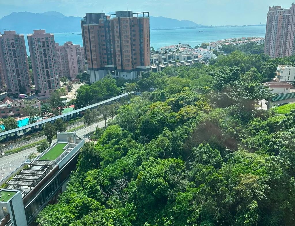 飛揚 1期 1座 - 28NTS – 香港北部都會區