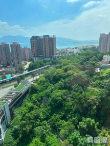 179156801610994636-6a8d-44db-9dfa-66236eb484c2.jpeg 飛揚 1期 1座 - 28NTS – 香港北部都會區