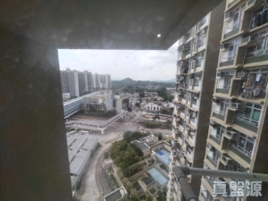 屏欣苑 B座 (屏彥閣) - 28NTS – 香港北部都會區