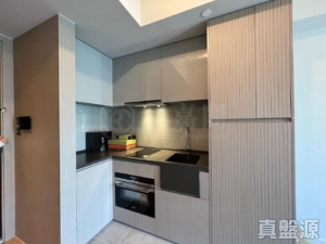 柏傲莊 2期 6座 (6B) - 28NTS – 香港北部都會區