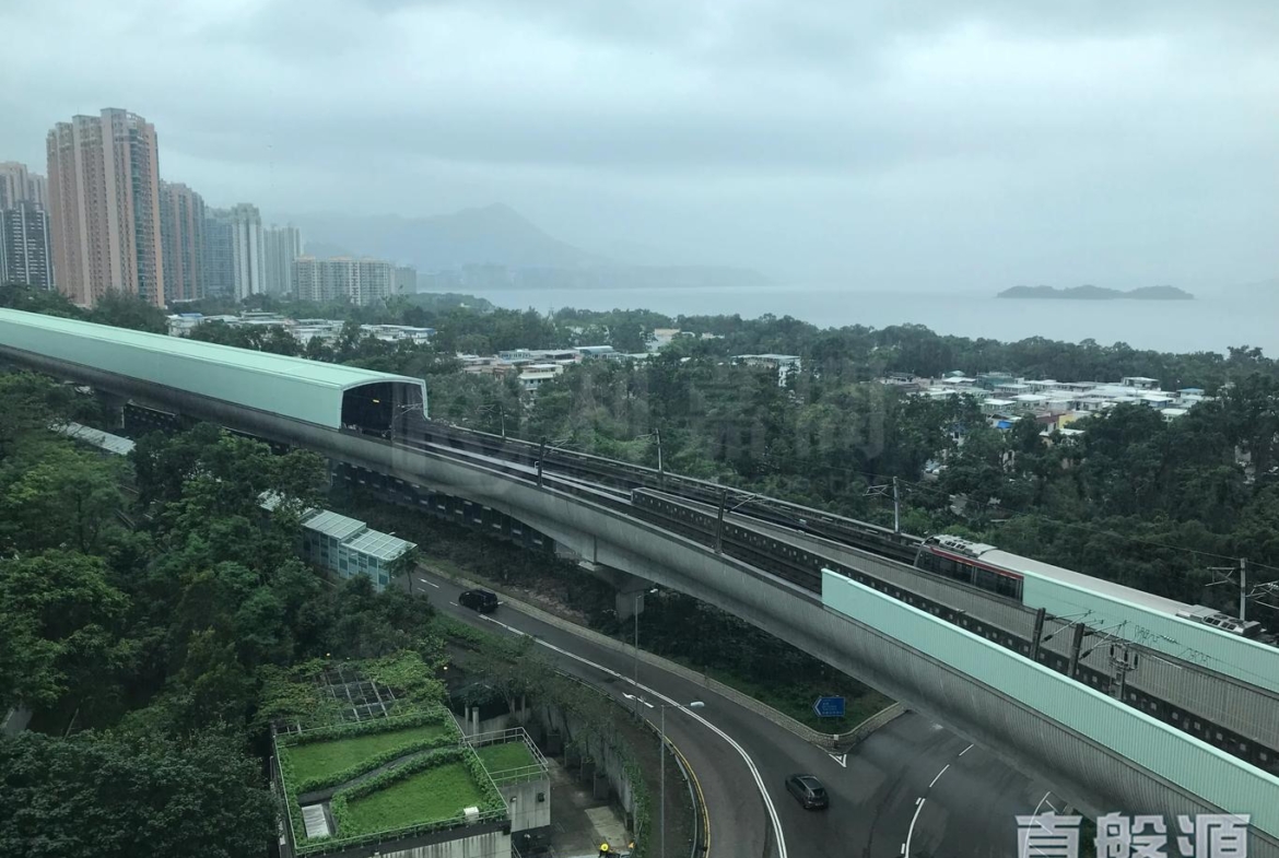 銀湖．天峰 1座 - 28NTS – 香港北部都會區