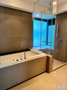 天賦海灣 1期 2座 - 28NTS – 香港北部都會區