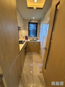 天鑽 16座 - 28NTS – 香港北部都會區