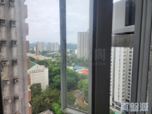 上水名都 巴黎閣 (3座) - 28NTS – 香港北部都會區