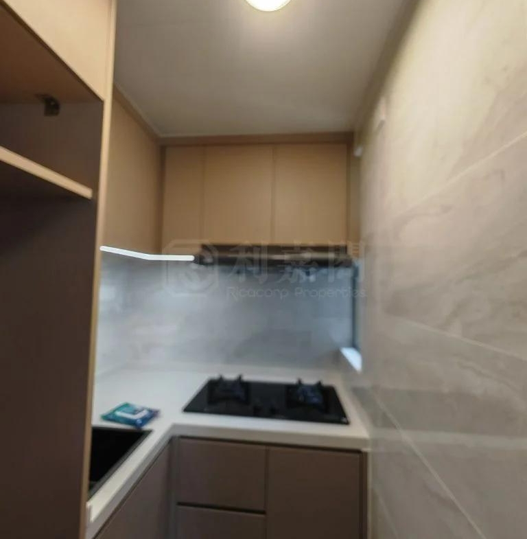 龍豐花園 C座 - 28NTS – 香港北部都會區