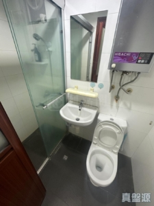 粉嶺中心 2期 L座 - 28NTS – 香港北部都會區