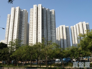 翠麗花園 6座 - 28NTS – 香港北部都會區