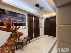 淺月灣 1期 - 28NTS – 香港北部都會區