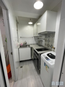 美豐花園 B座 - 28NTS – 香港北部都會區
