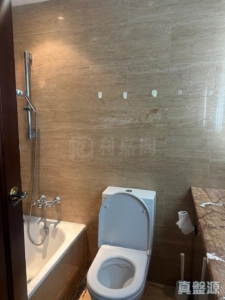 御龍山 1座 - 28NTS – 香港北部都會區
