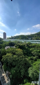 麗城花園 2期 9座 - 28NTS – 香港北部都會區