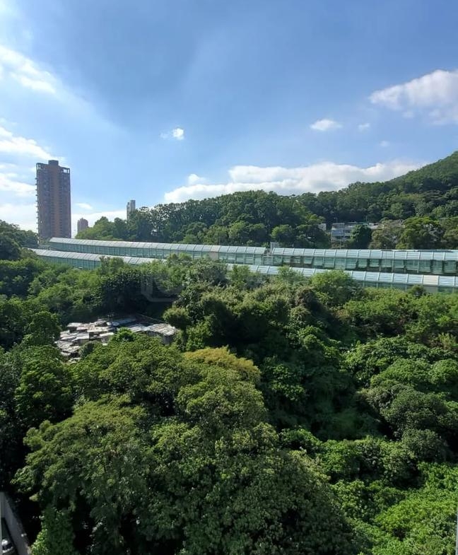 麗城花園 2期 9座 - 28NTS – 香港北部都會區
